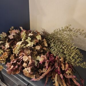 Real Fragile Dried Oak Leaf Hydrangeas, Blue Calamint and Celosia